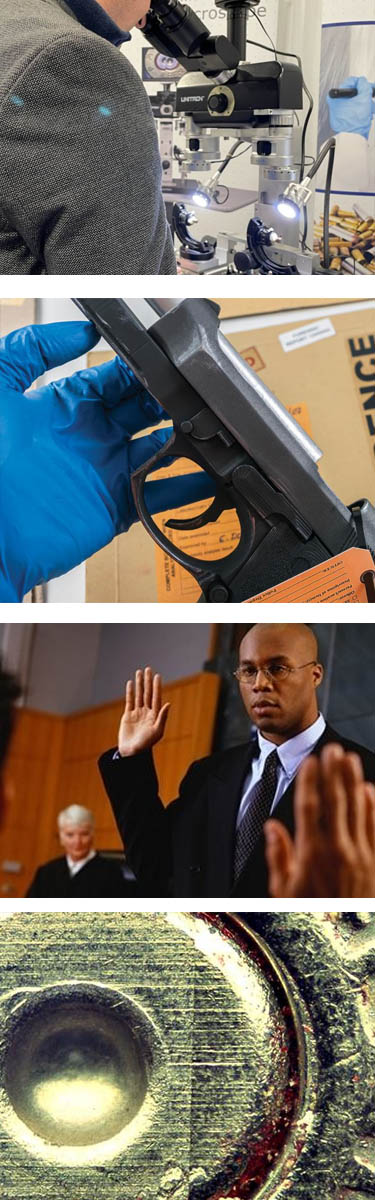 Firearms Examiner Academy schedule overview